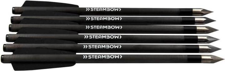 Steambow AR-Serie Carbon- Bodkinpfeile leicht