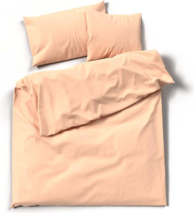 Abricot