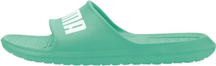 Actual product image Puma Divecat v2 Lite (40.5)