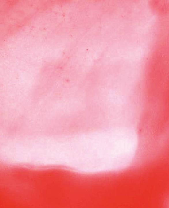 Actual product image Hobbyring Encaustic wax blocks set of 16, neon red