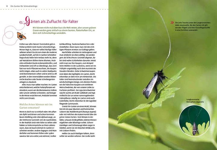 Produktbild Mein Schmetterlingsgarten (Deutsch, Elke Schwarzer, 2022)