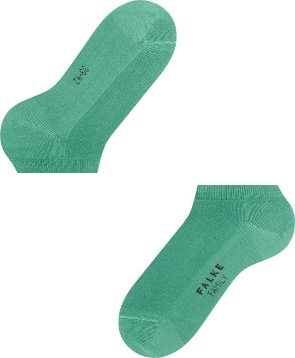 Image du produit Falke Hommes de famille (39 - 42)
