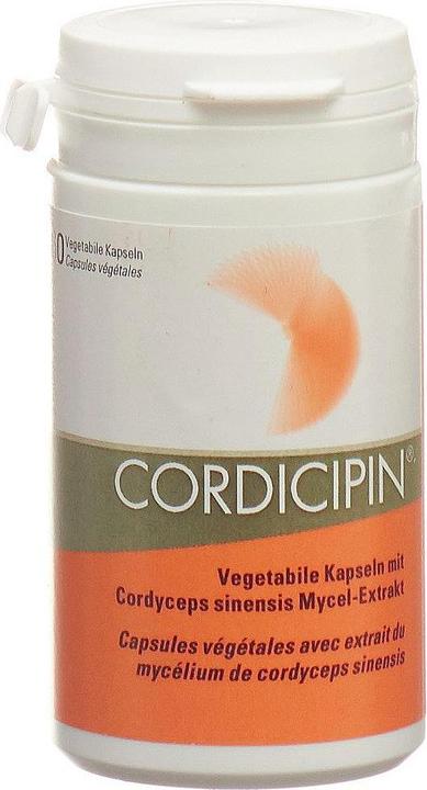 Produktbild Gamu Vital Pilzextrakt Kapsel (60 Stück, Kapseln, 40 g)