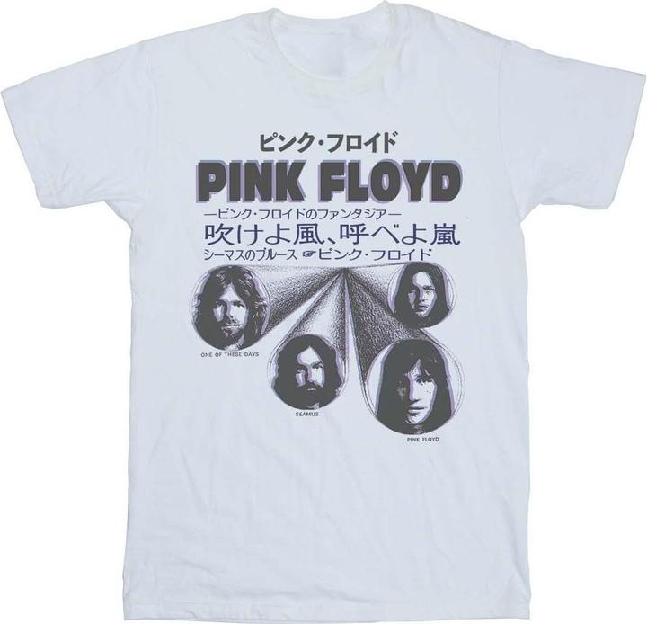 Actual product image Pink Floyd Womens/Ladies Japanese Cover Cotton Boyfriend T-Shirt (5XL)