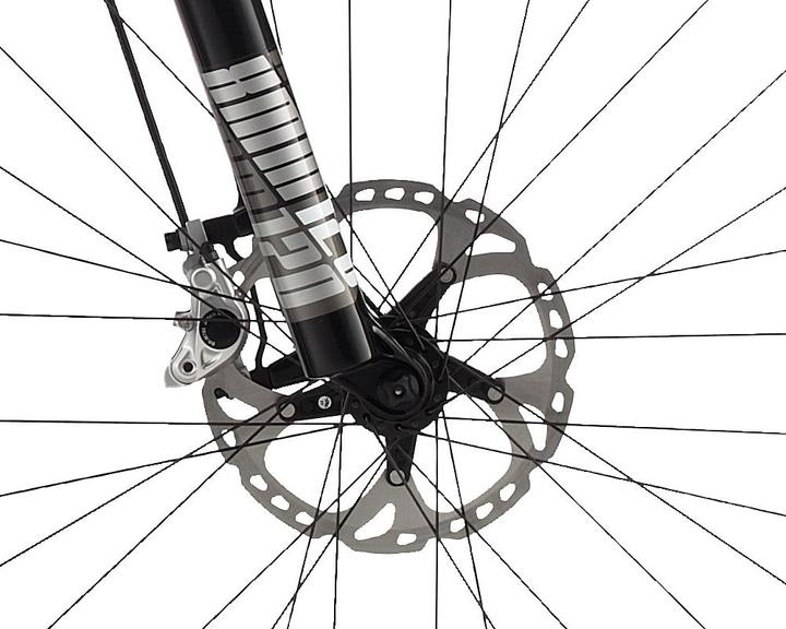 Produktbild Wheeler Falcon 10 (51 cm)