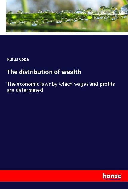 Actual product image The distribution of wealth (Rufus Cope, 2017)