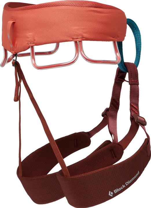 Actual product image Black Diamond Momentum Harness (M)