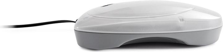 Actual product image Intex LED light