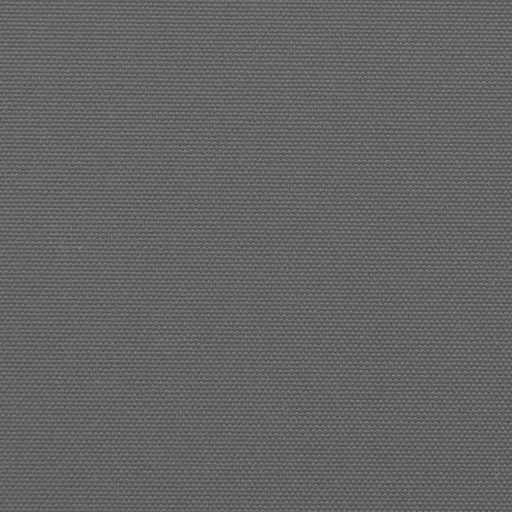 Immagine prodotto VidaXL Tenda laterale estensibile (2 m)