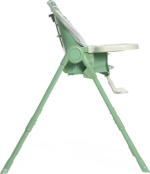 Actual product image Chicco Polly Essential (Highchair)