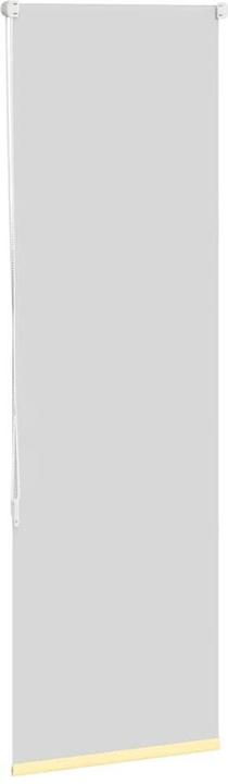 Immagine prodotto VidaXL Marnin (40 x 150 cm)