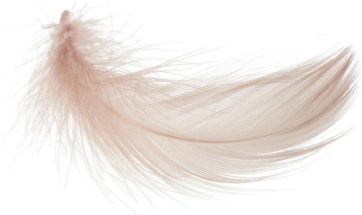 Image du produit VBS Plumes d'oie, 20 g