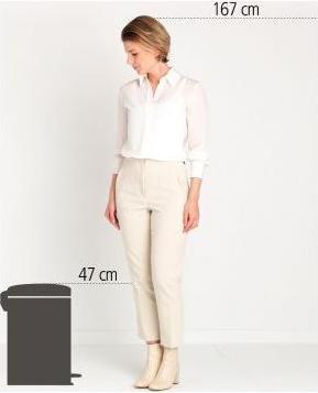 Image du produit Brabantia NewIcon (20 l)