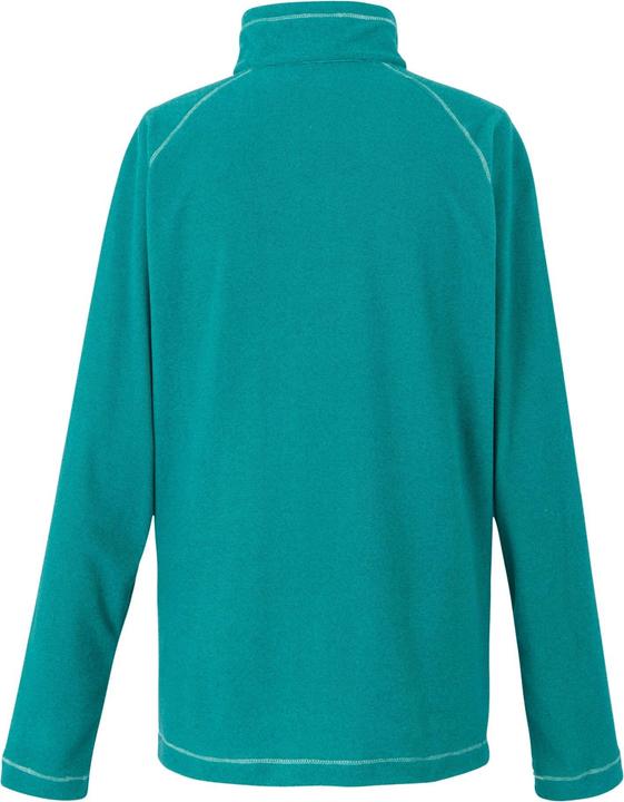 Actual product image Regatta Great Outdoors Womens/Ladies Montes Half Zip Fleece Top (38 D)