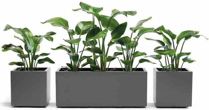 Actual product image Euro3plast Planter (39.50 cm)