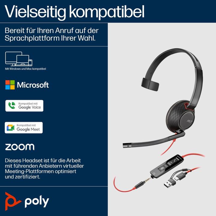 Actual product image Poly BW 5210 USB-C HS +3.5MMP (Cable, USB-A)