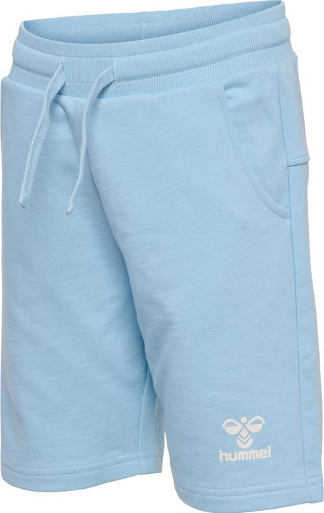 Produktbild hummel Hmlflow Shorts (116)