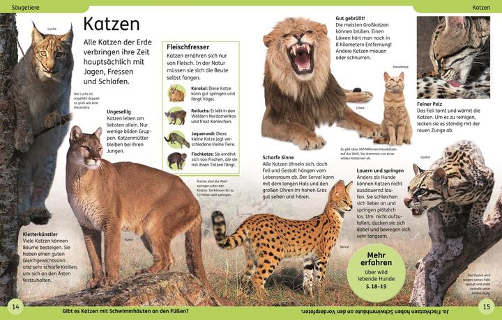 Produktbild DK Kinderlexikon Tiere (Deutsch, DK Verlag - Kids, 2023)