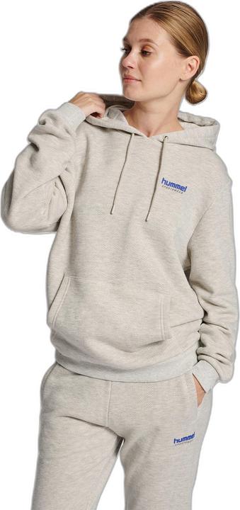 Produktbild hummel Lgc Austin Hoodie (M)