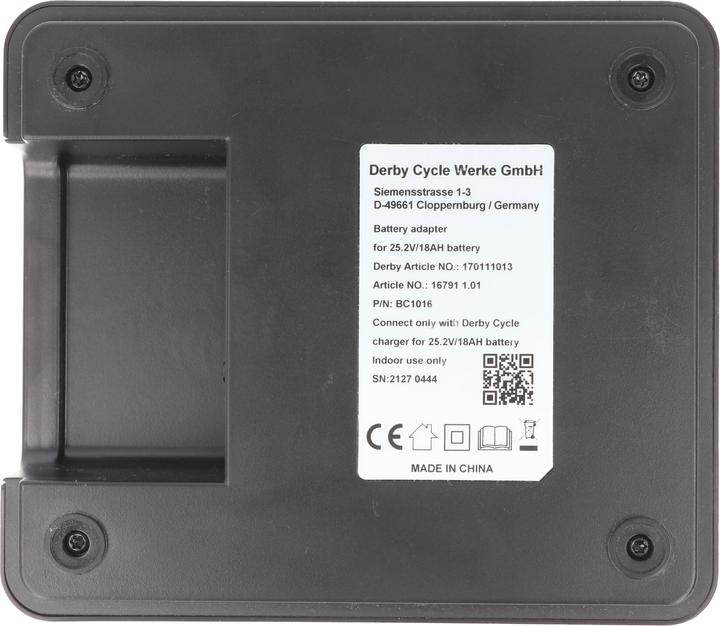 Actual product image BMZ Fast charger for 26V Panasonic Deluxe e-bike battery Flyer Deluxe (E-bike charger)