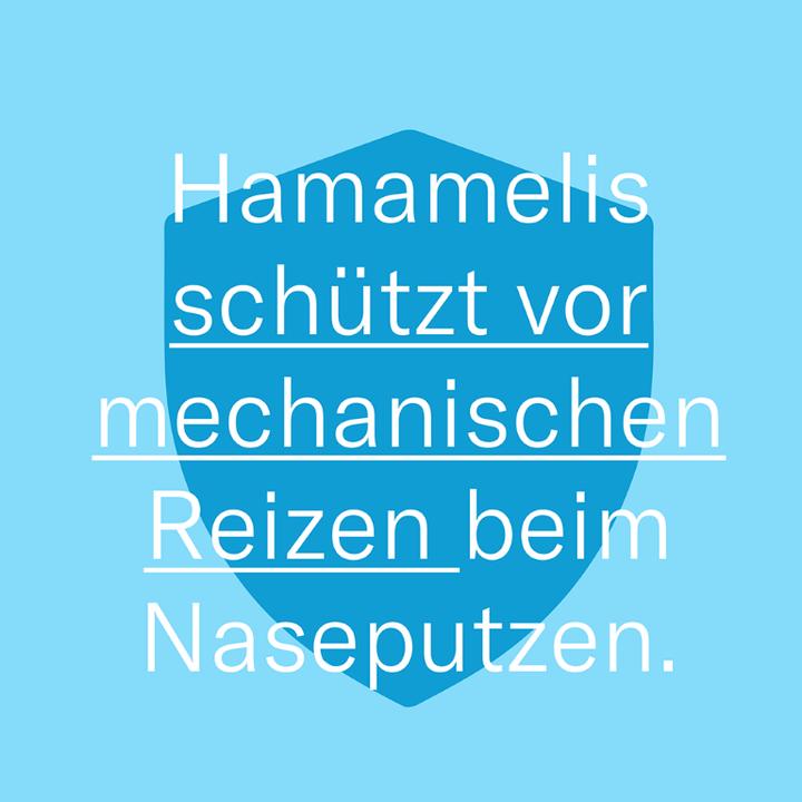Produktbild Leti LETIbalm Nasen- und Lippenbalsam repariert und schützt, 10 ml Creme (10 ml)