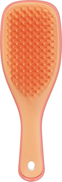Actual product image Tangle Teezer Wet Detangler Mini