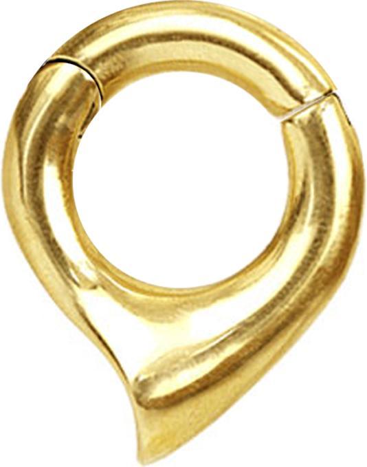 Actual product image Star Piercing Ohrgewicht Segmentring klappbar Jagthorn (Brass)