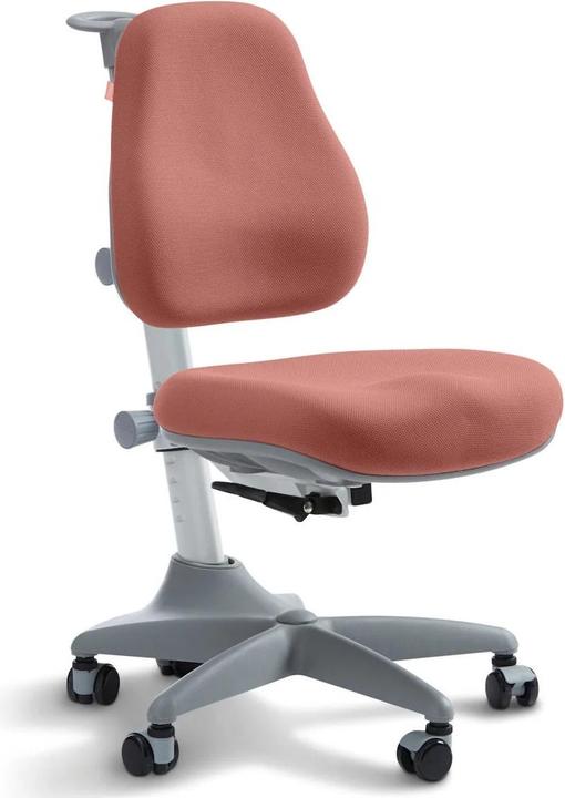Actual product image Flexa Chair Verto Misty Rose