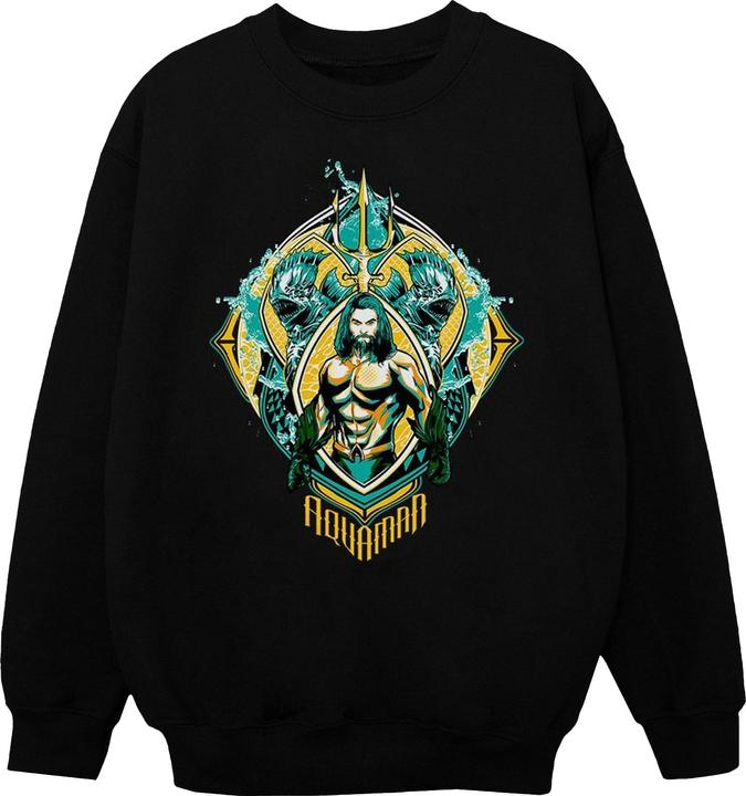 Image du produit Sweatshirt garçon Aquaman The Trench Crest (140, 146)