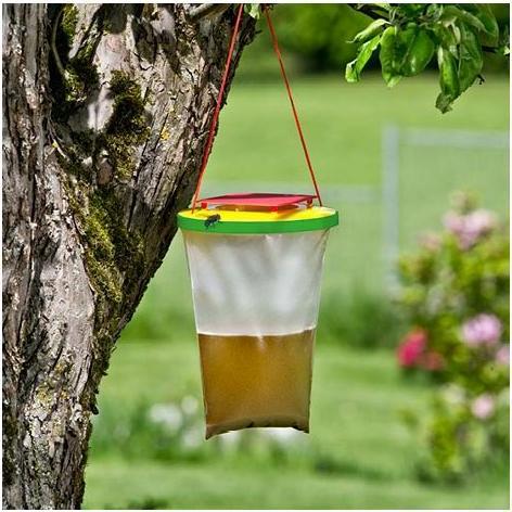 Produktbild Windhager Wespen- und Fliegenfalle