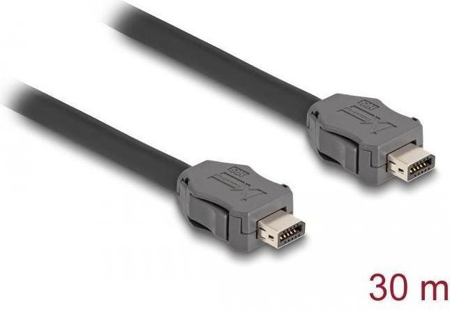 Actual product image Delock Cable ix Industrial A-coding male to male Cat.7 30 m (S/FTP, CAT7, 30 m)