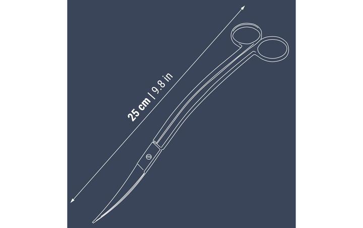 Immagine prodotto Dennerle Forbice per piante curva, 25 cm (Pulizia dell'acquario)