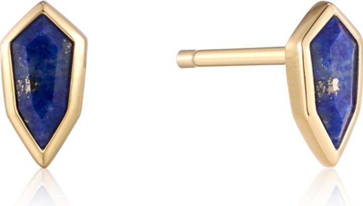 Ania Haie Ohrstecker Second Nature E042-01G-L (925er Silber)