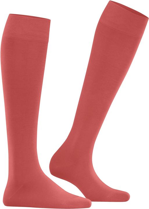 Actual product image Falke Knee socks (Single pack, 35 - 38)