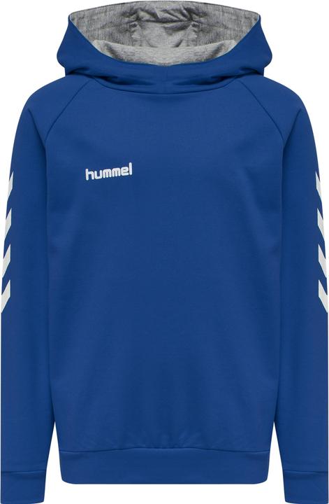 Image du produit hummel Go Kids Hoodie En Coton (152)