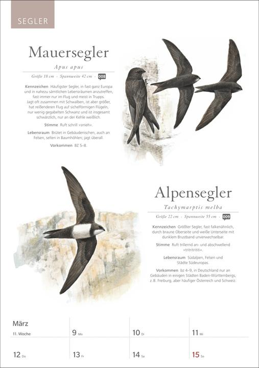Immagine prodotto Harenberg KOSMOS Was fliegt denn da? Wochenplaner 2026 - Der Kalender zum KOSMOS-Naturführe (Tedesco)