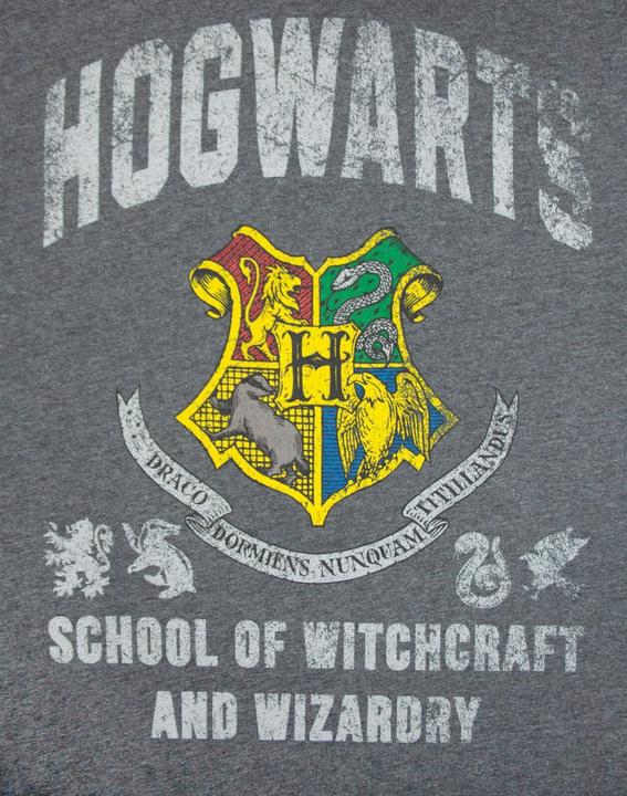 Actual product image TShirt (L)