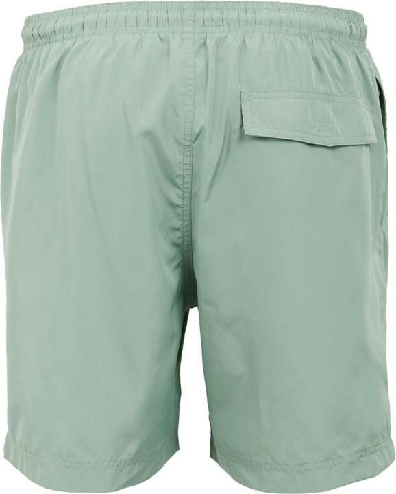 Actual product image Regatta Mens Mackleyna Swim Shorts (M)