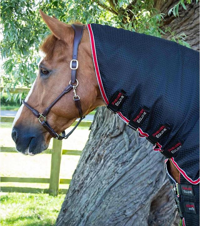 Immagine prodotto Premier Equine Coperta asciugante per cavalli con copricollo (206 cm)
