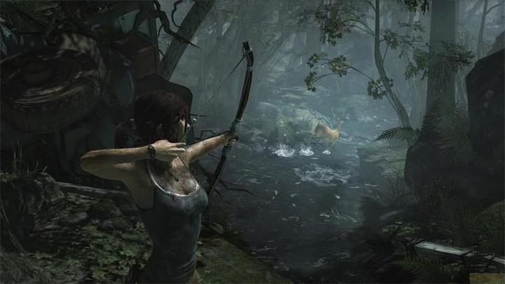 Image du produit Capcom Tomb Raider: Definitive Edition (PS4, DE)