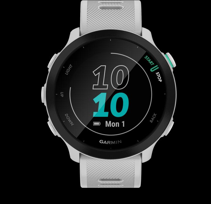 Productafbeelding Garmin Forerunner 55 (42 mm)
