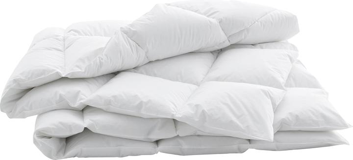 Immagine prodotto Swiss Dream by billerbeck CLC 90 Cassette Cosy (1060 g, 200 x 210 cm)