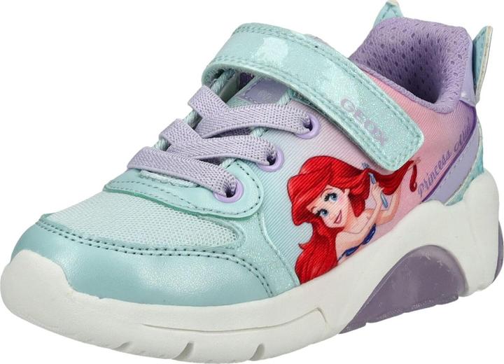 Geox Sneaker (29)