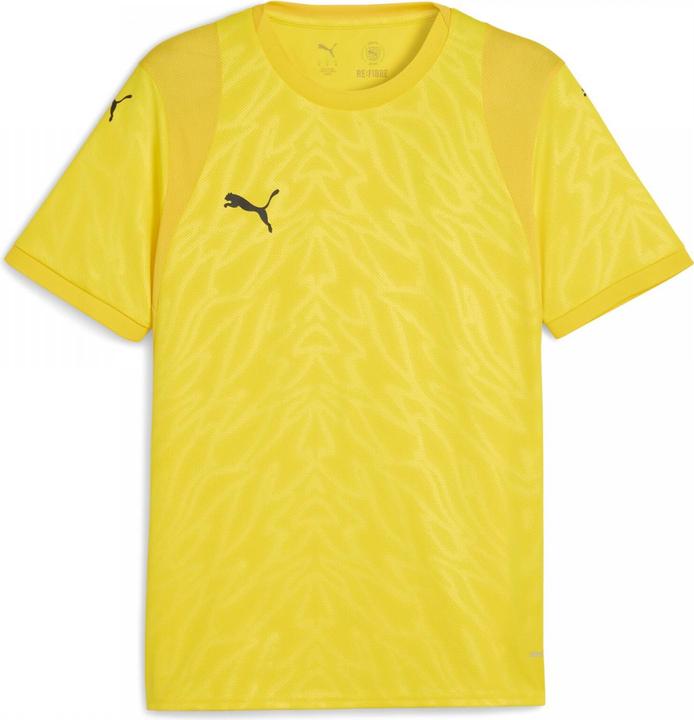 Image du produit Puma teamCUP Jersey (XXL)