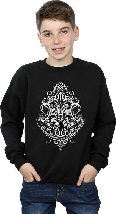 Actual product image Boys Hogwarts Draco Dormiens Crest Sweatshirt (140, 146)
