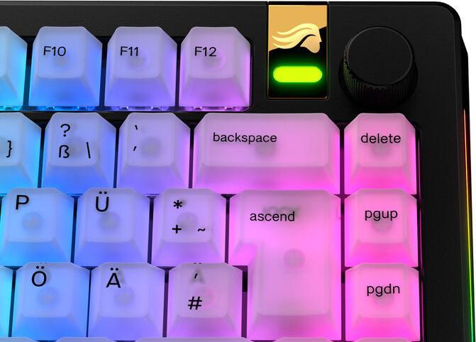 Immagine prodotto Glorious Tastiere Polychroma V2, layout ANSI (DE), policarbonato, stampa UV - trasparente