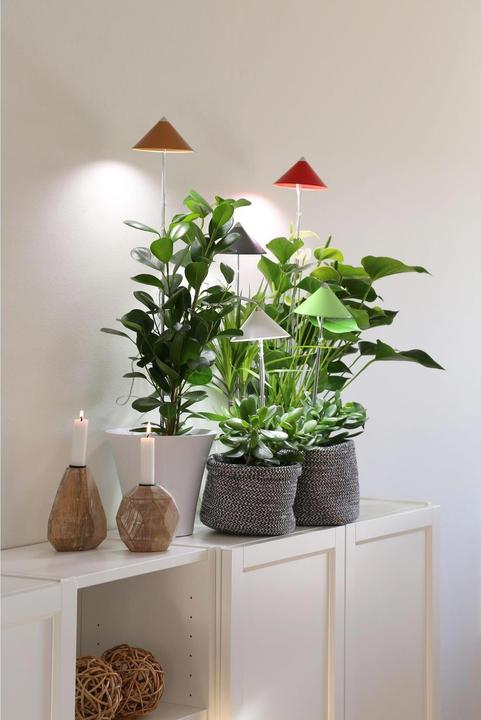 Produktbild Colibri Sunlite (LED, 230 V)