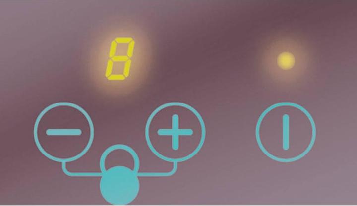 Actual product image Steba IK 200 induction hob