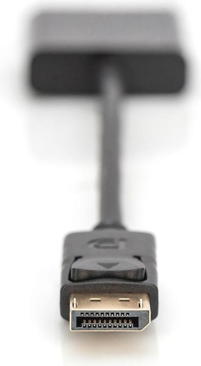 Actual product image Digitus DisplayPort closed (VGA, 15 cm)
