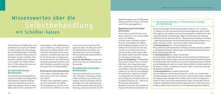 Immagine prodotto Maxi-Quickfinder Schüssler-Salze (Tedesco, Guenther H. Heepen, 2015)